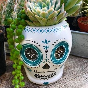 Meet your Posher, Azalia